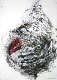 Gallus