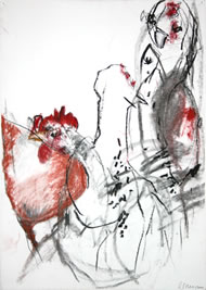 Gallus